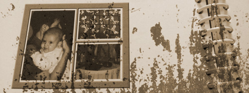 foto de livro com imagem